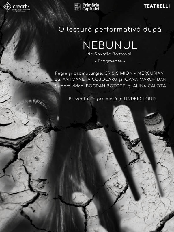 NEBUNUL – fragmente